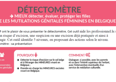 Détectomètre : outil à destination des professionnel.le.s